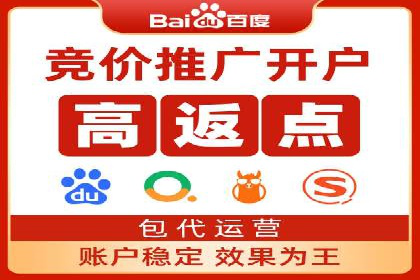 专业sem竞价托管服务，案例解析提升广告效果